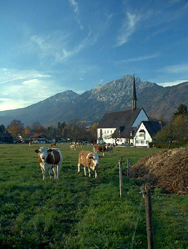A Country Kirsche — the Bavarian Countryside